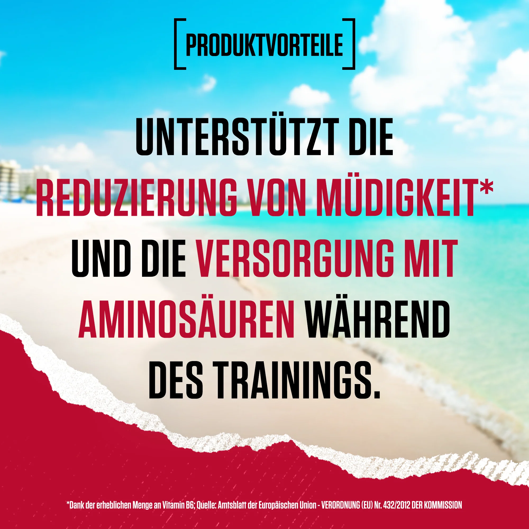 Vorschaubild 19