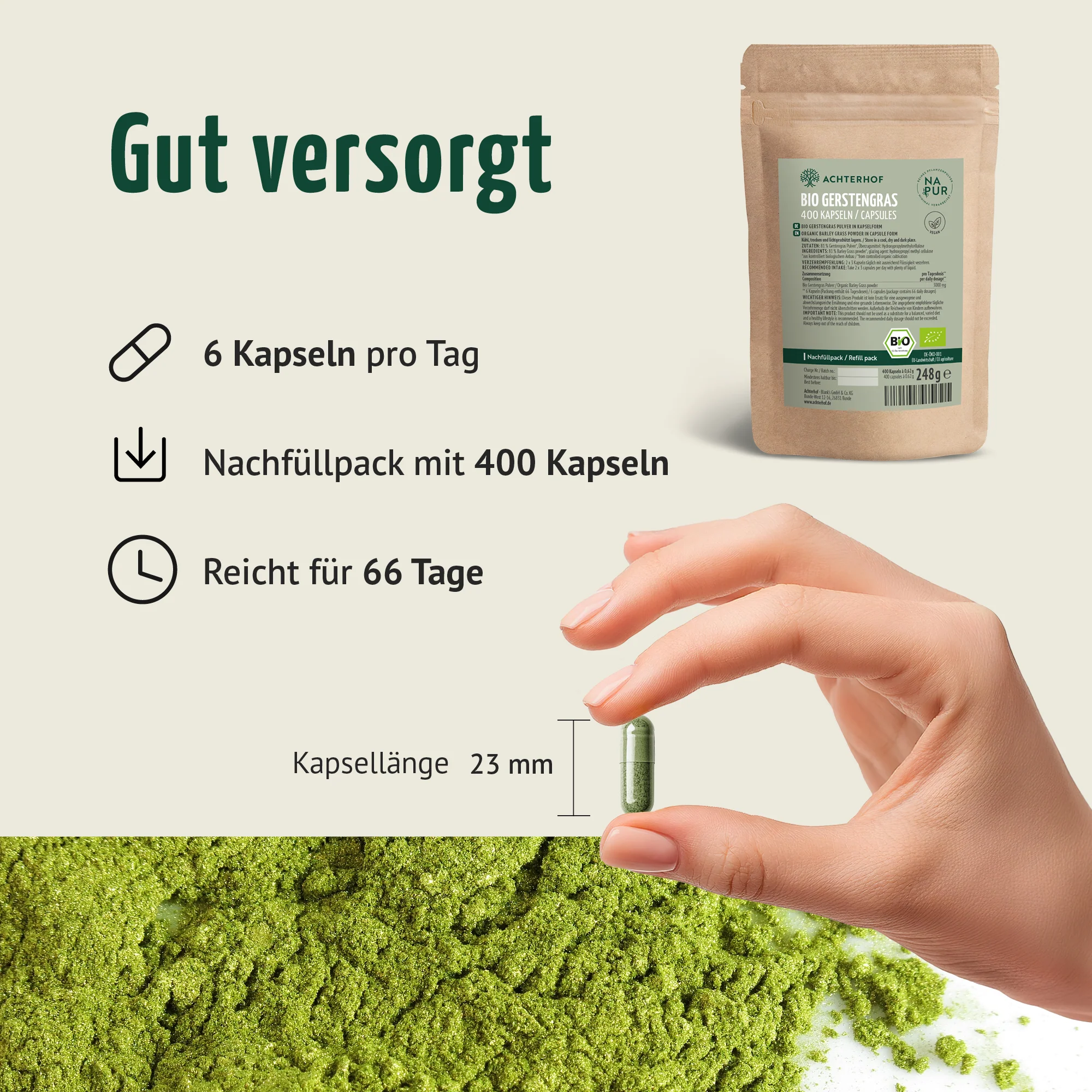 Vorschaubild 5