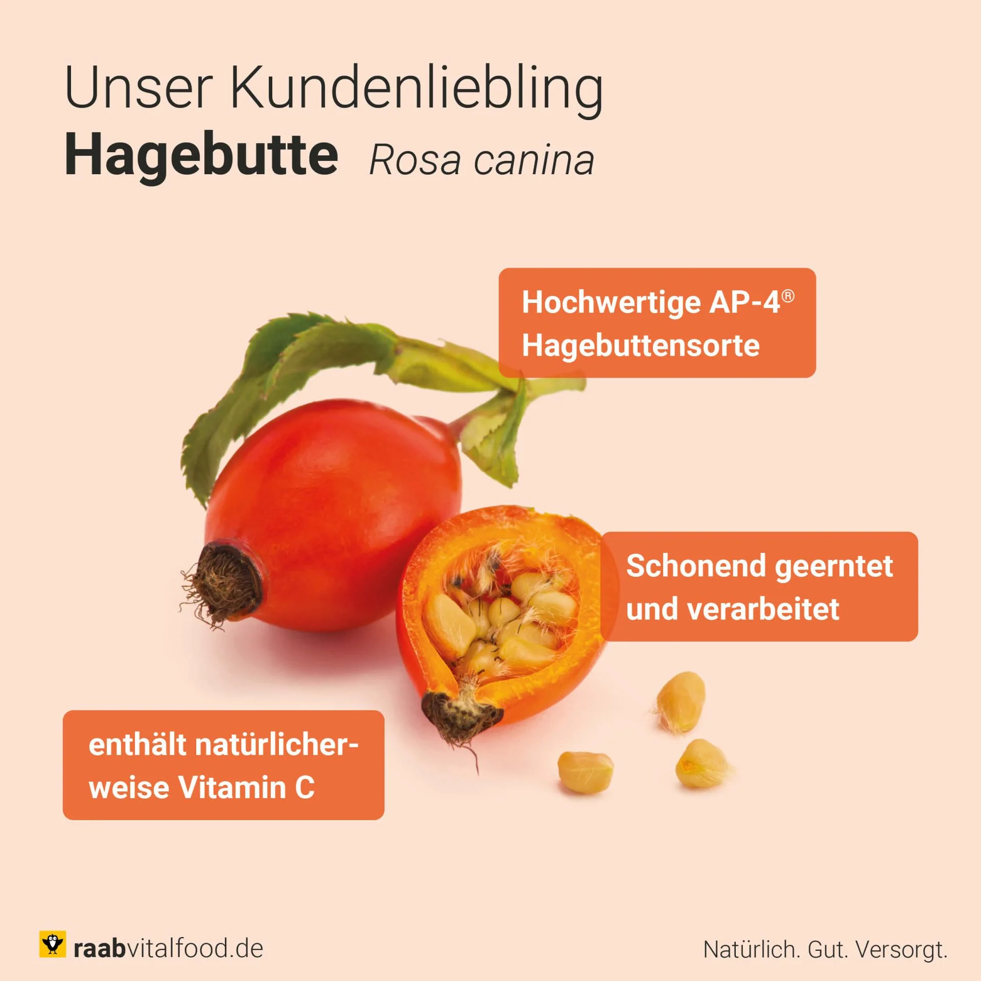 Vorschaubild 6