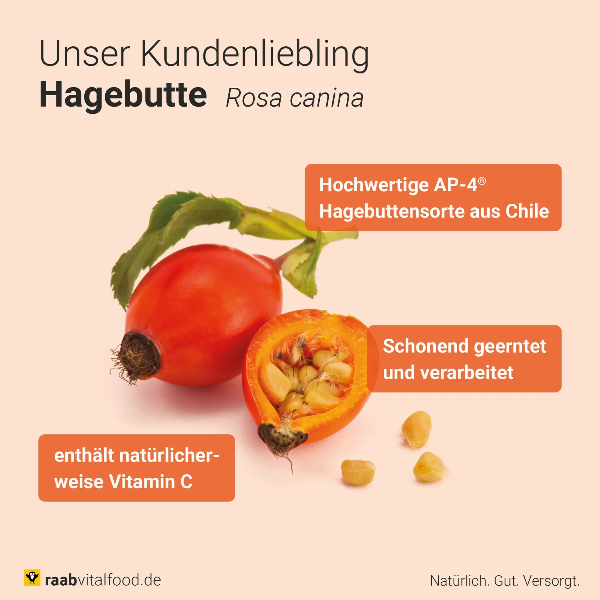 Vorschaubild 6