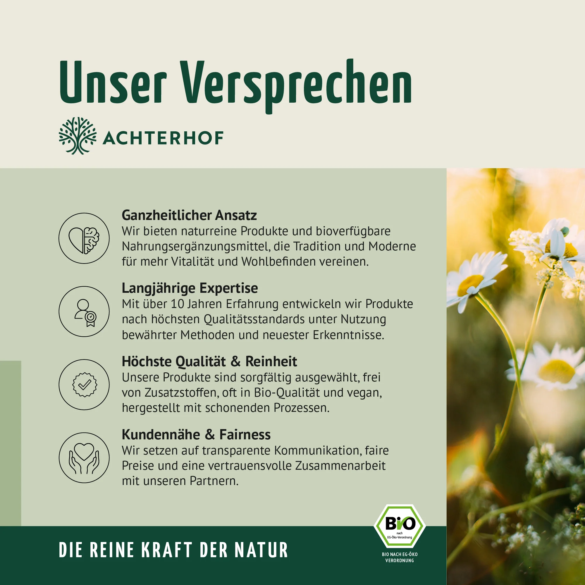 Vorschaubild 10