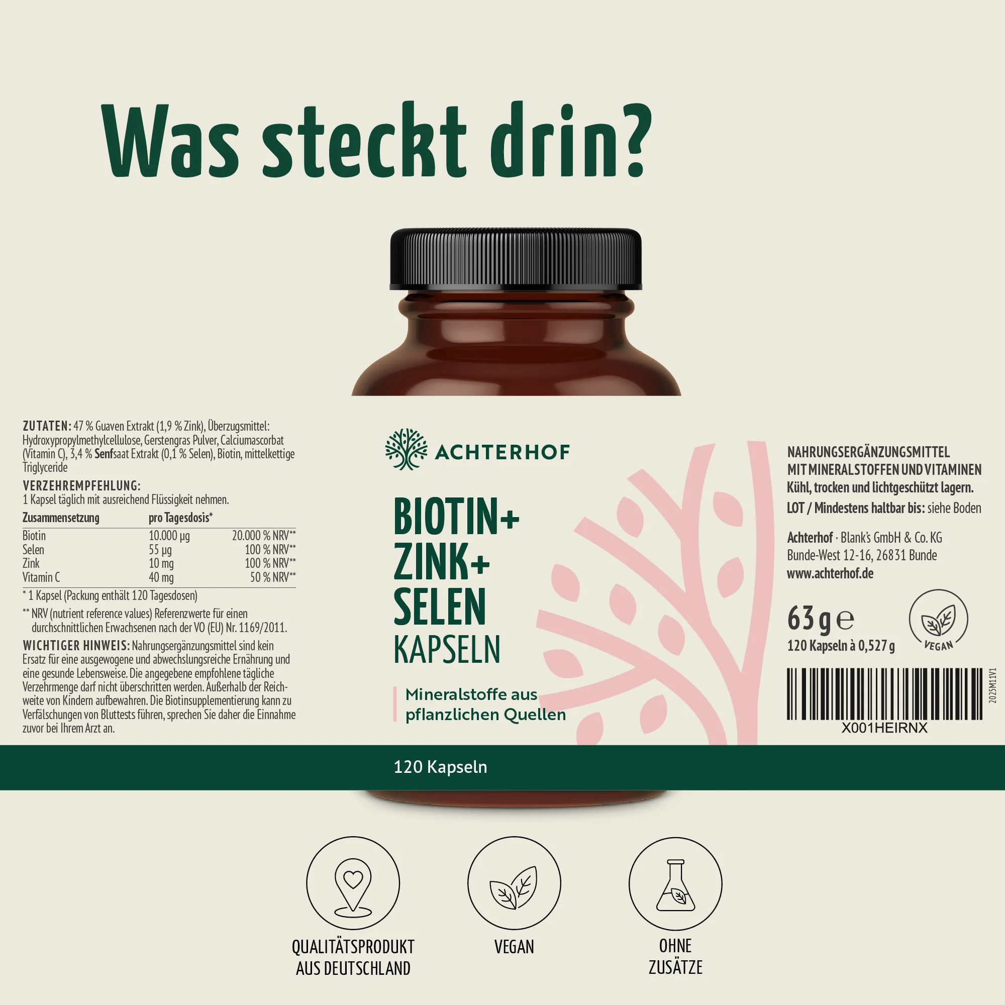 Vorschaubild 11