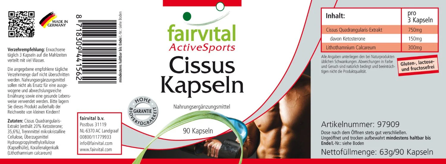 Vorschaubild 2