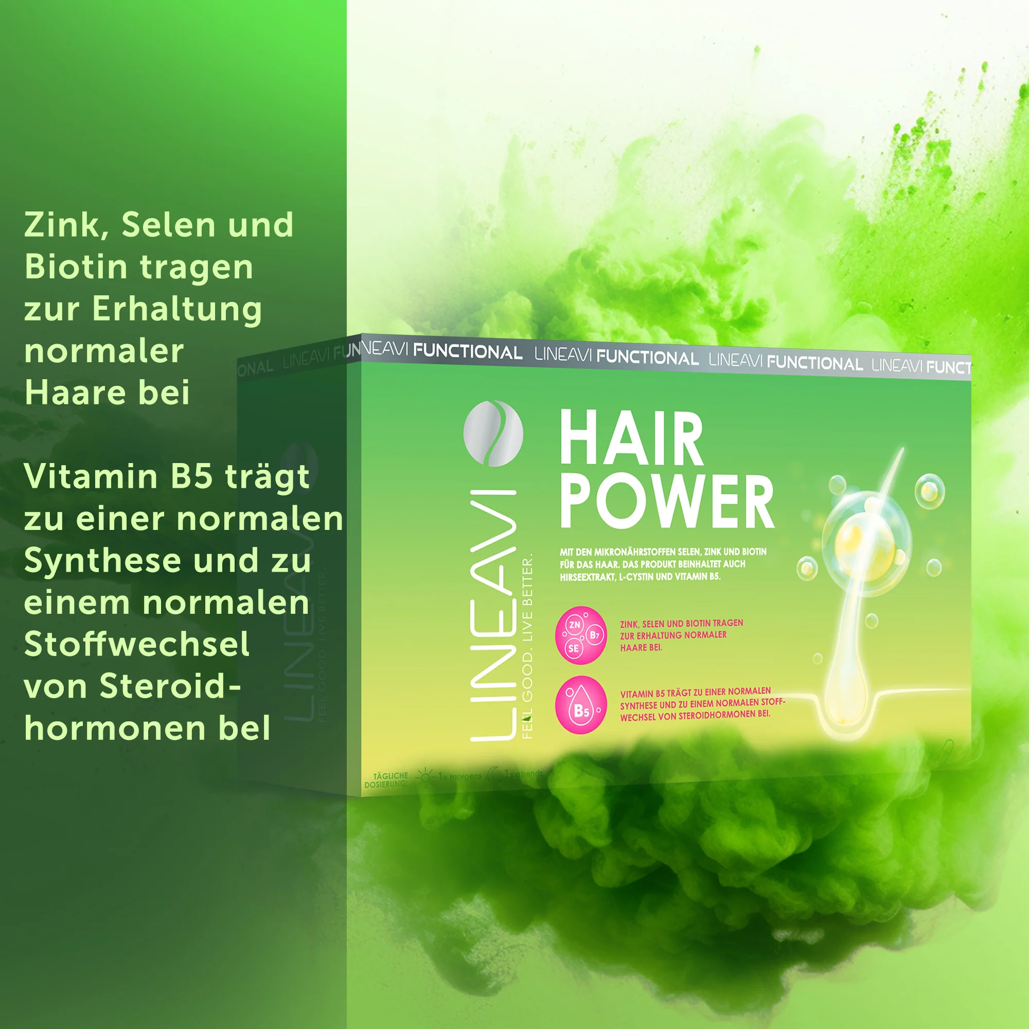Vorschaubild 7