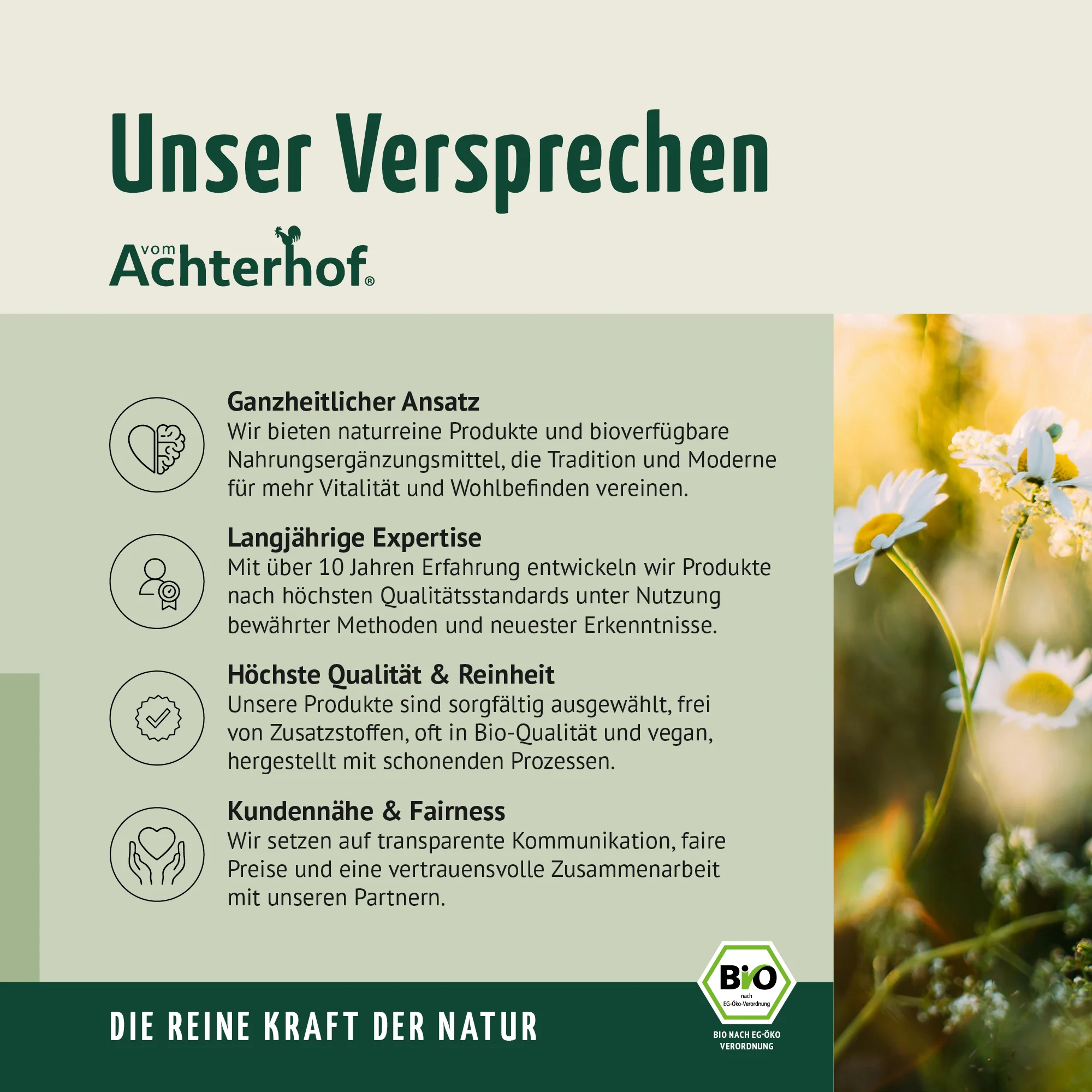 Vorschaubild 10