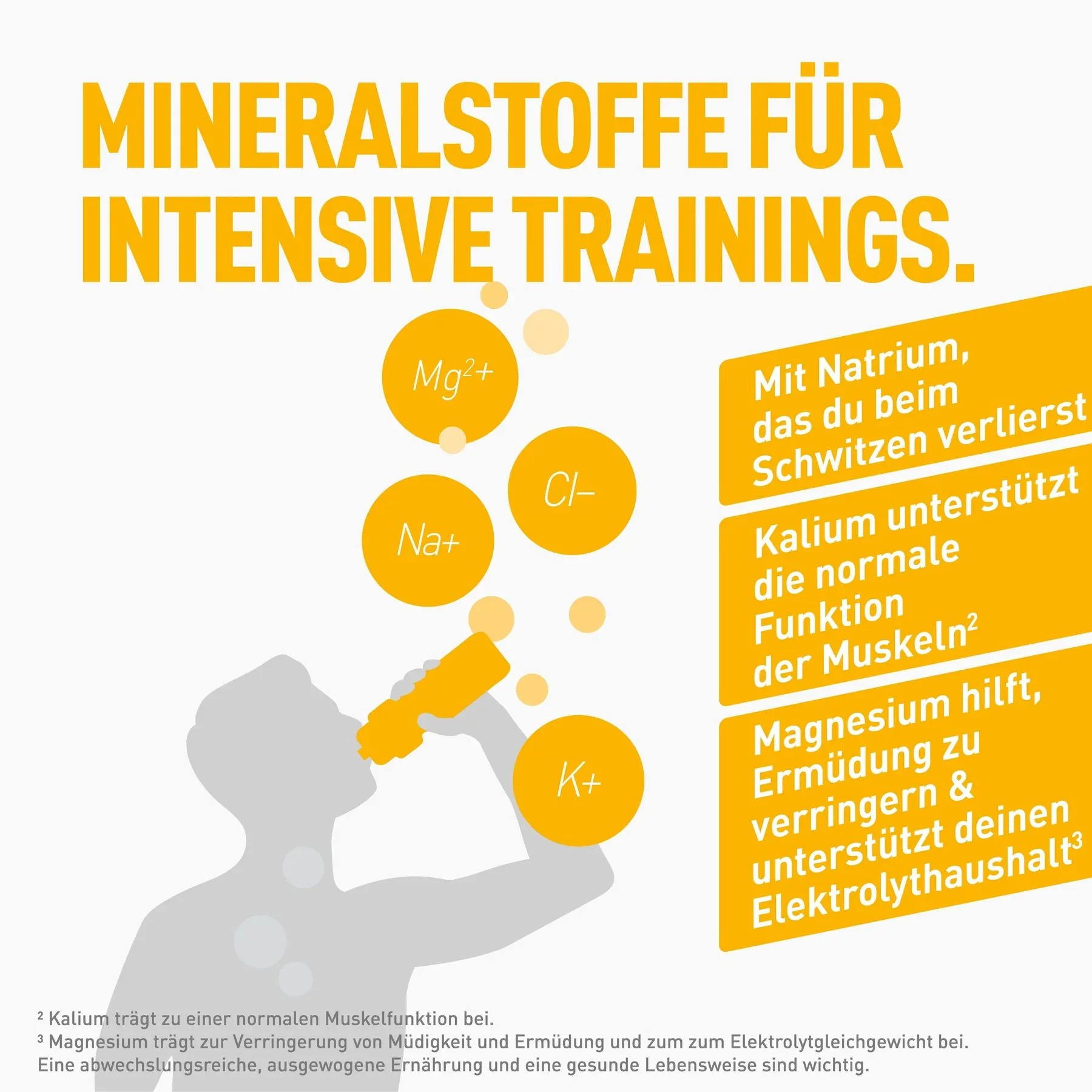 Vorschaubild 8