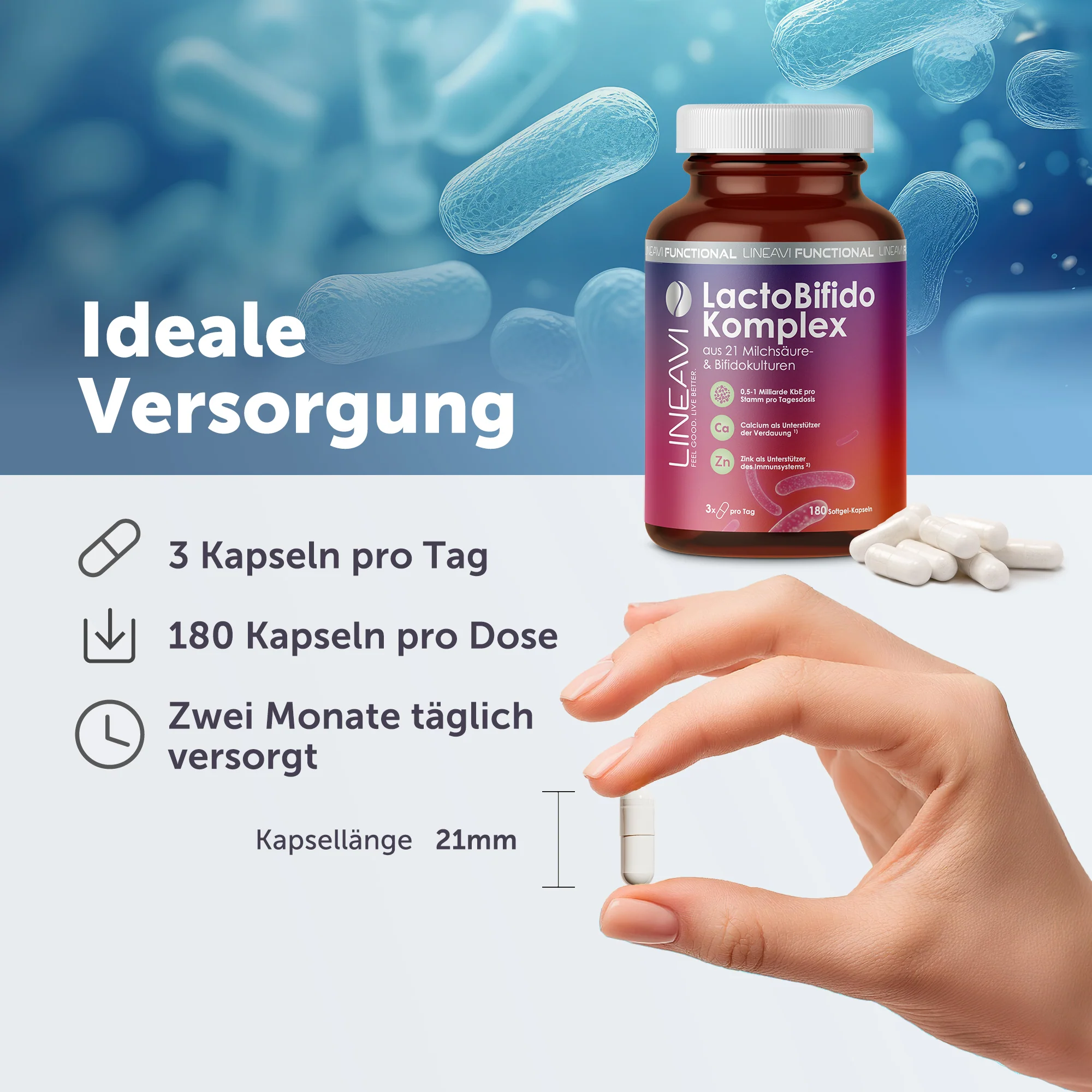 Vorschaubild 6