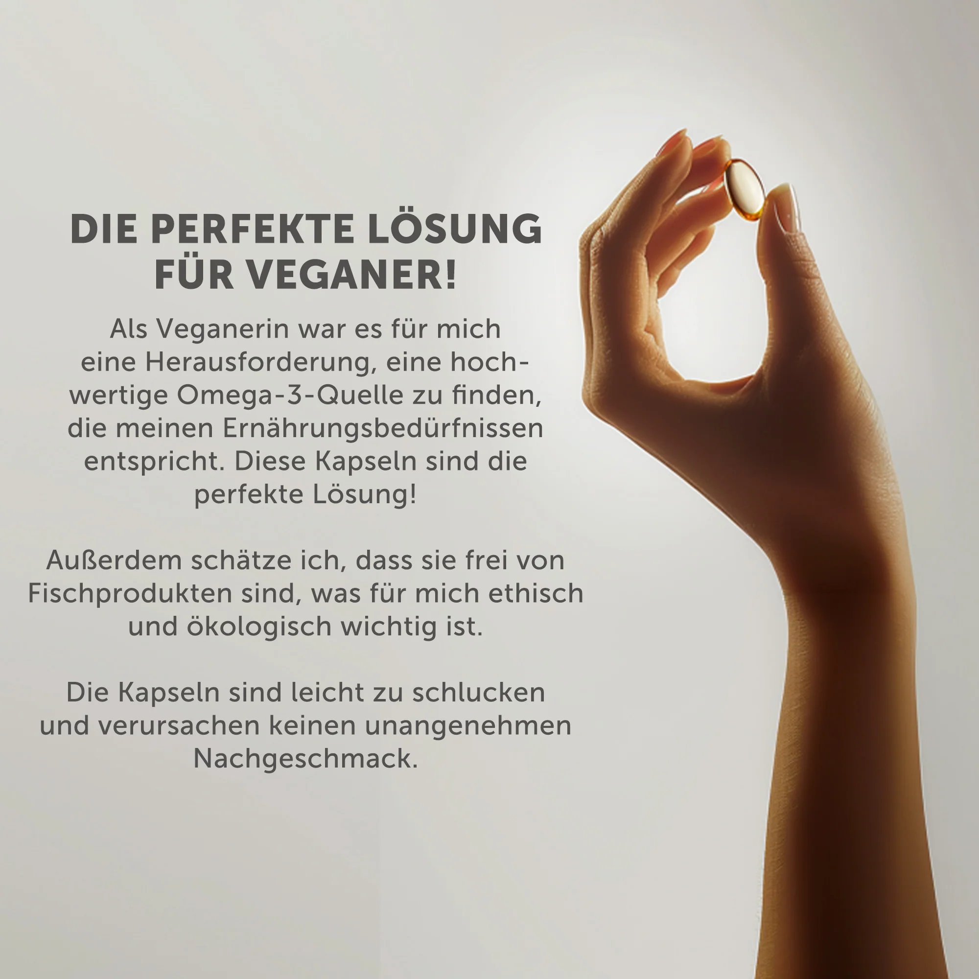 Vorschaubild 7