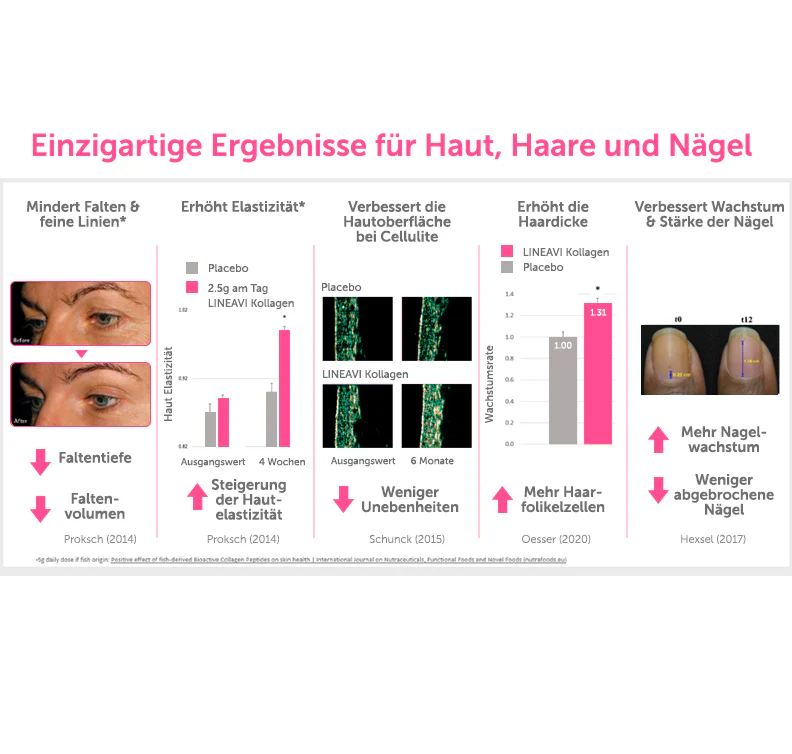 Vorschaubild 11