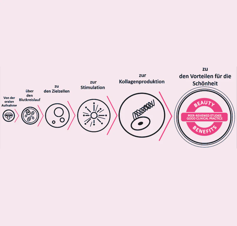 Vorschaubild 11