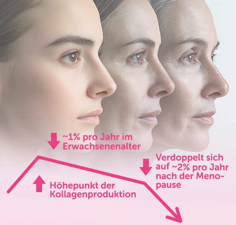 Vorschaubild 8