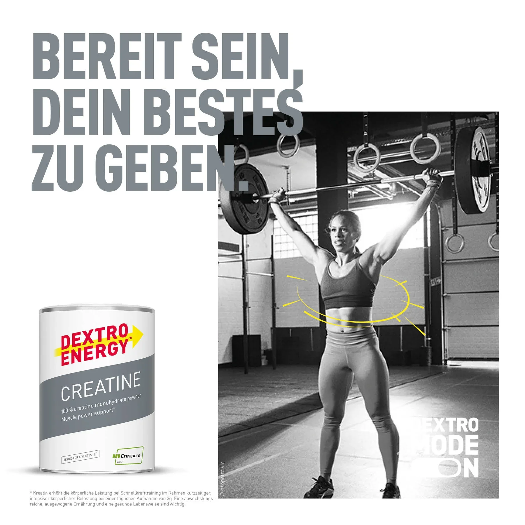 Vorschaubild 4