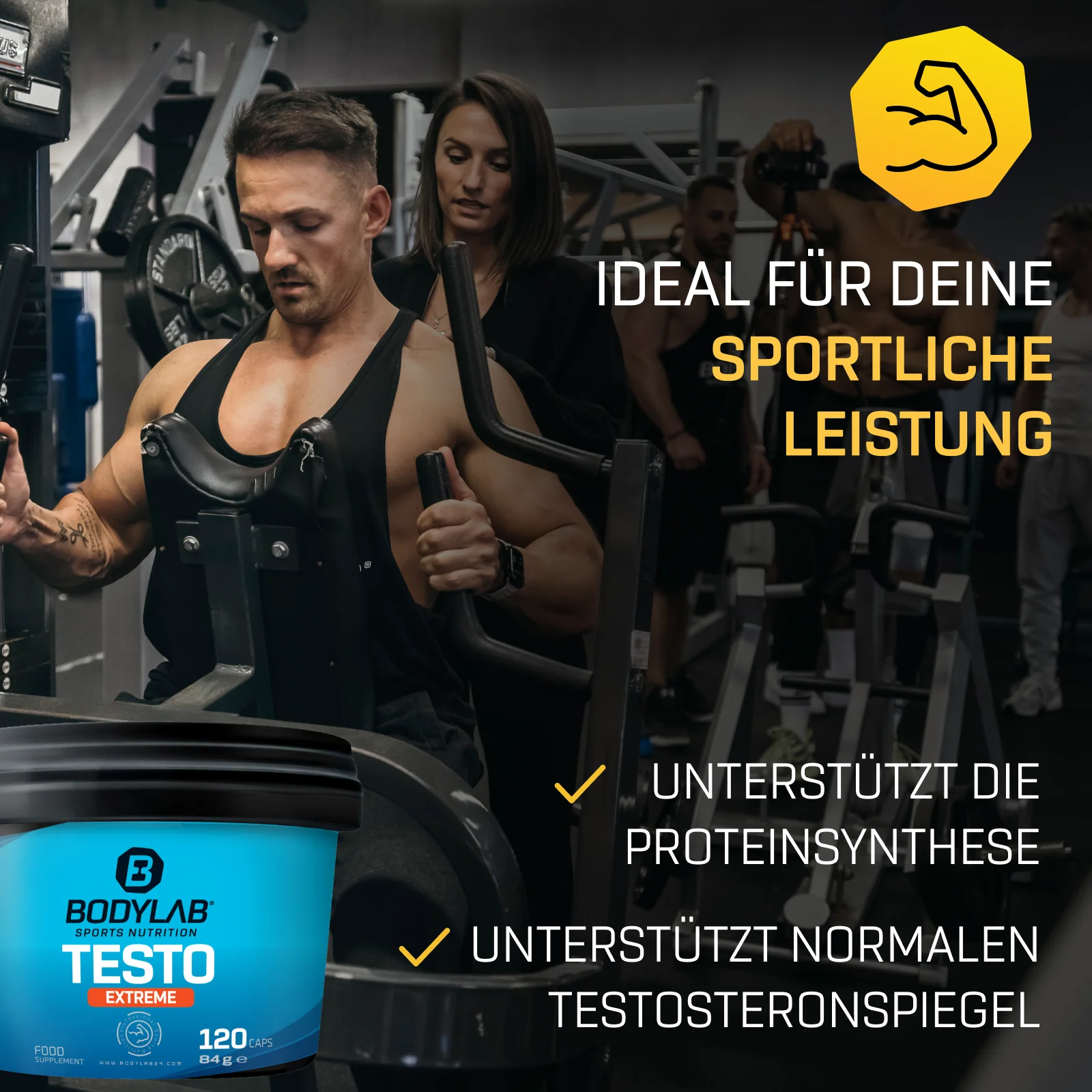 Vorschaubild 6