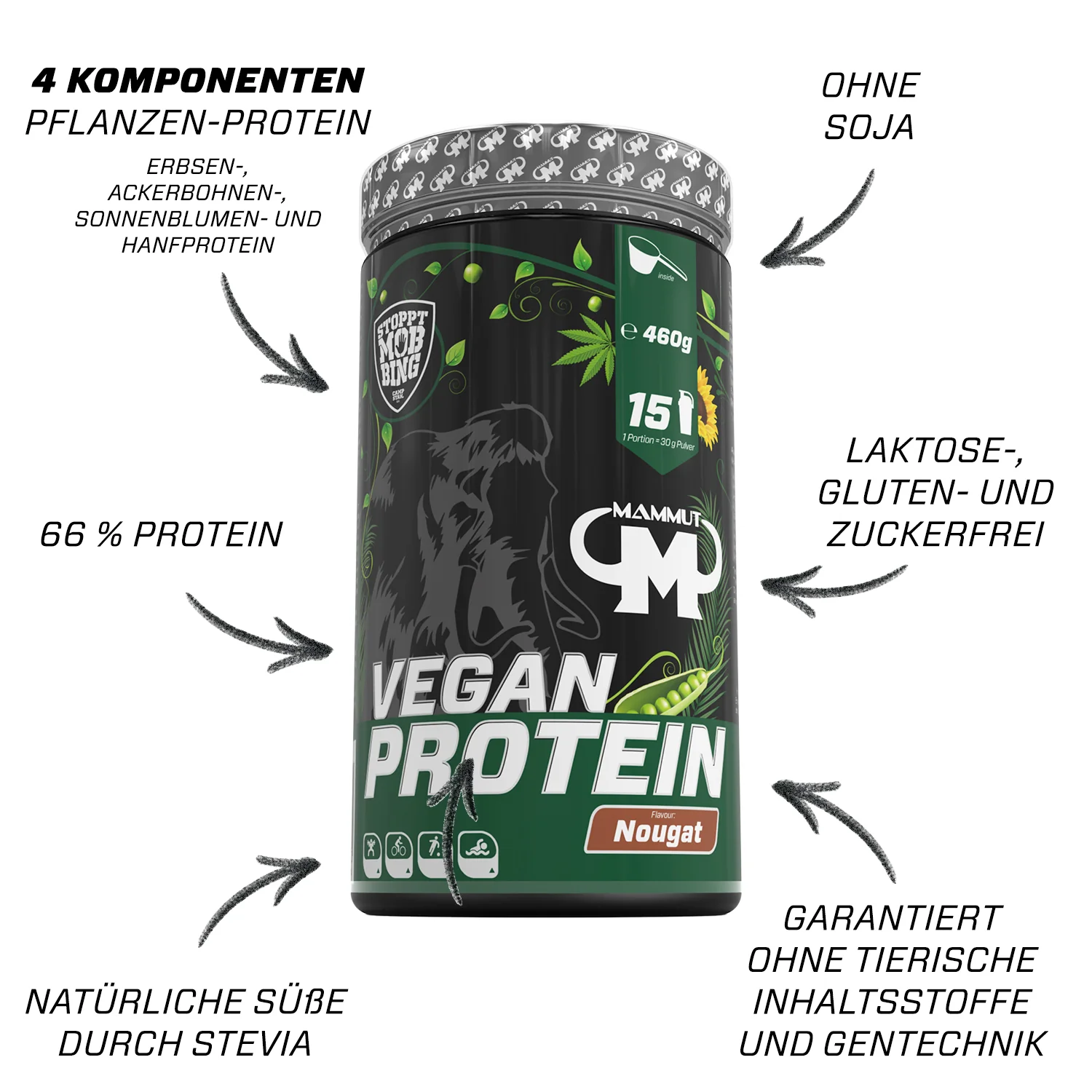 Vorschaubild 11