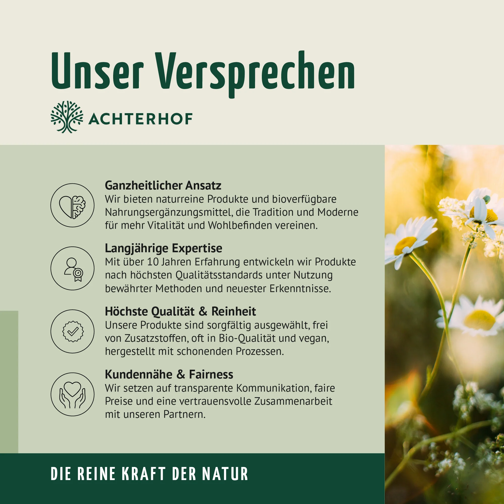 Vorschaubild 9